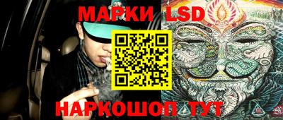 jwh Шебекино
