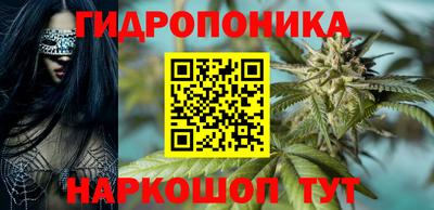 jwh Шебекино