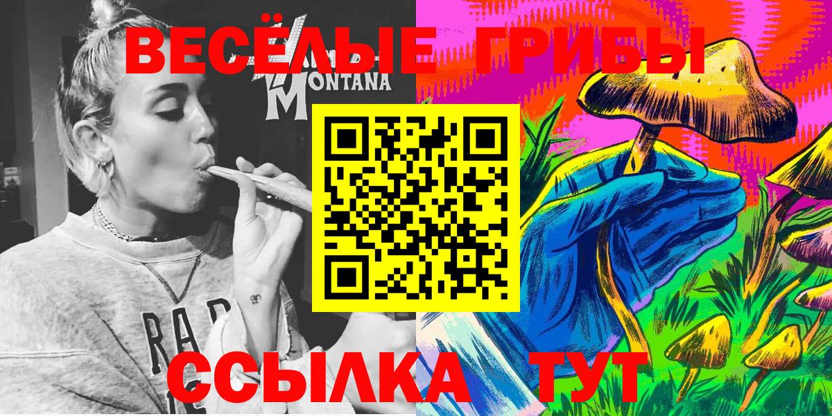 Ангарск  Галлюциногенные грибы прущие грибы  Вход с VPN 