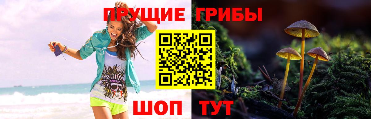 Псилоцибиновые грибы MAGIC MUSHROOMS Ангарск